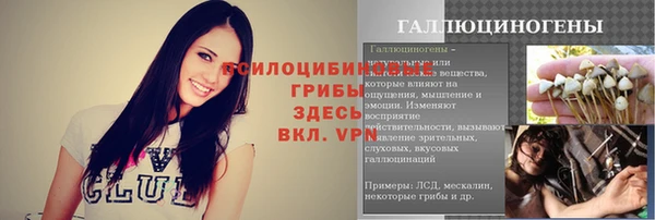 СК Навашино