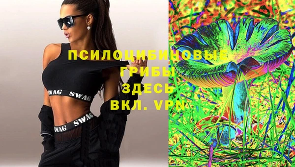 твердый Михайловск