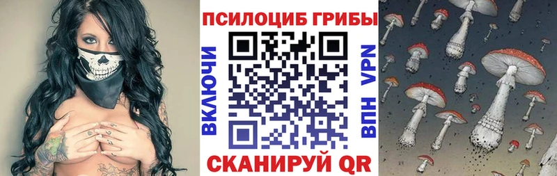 цена   Новоуральск  Галлюциногенные грибы Psilocybine cubensis 
