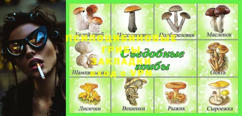 Галлюциногенные грибы Cubensis  где купить наркоту  Новоуральск 